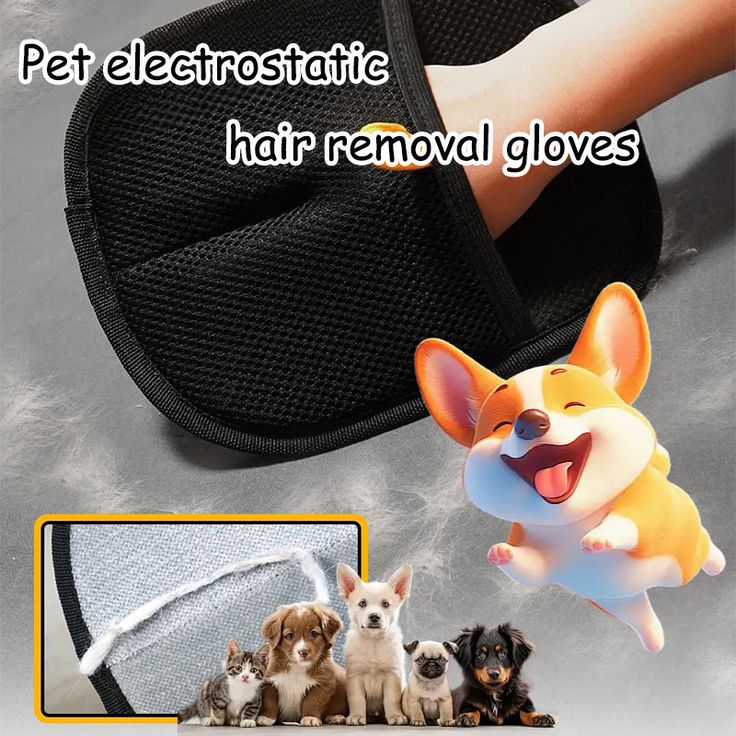 Pet Hair Removal Gloves (Pack of 2)