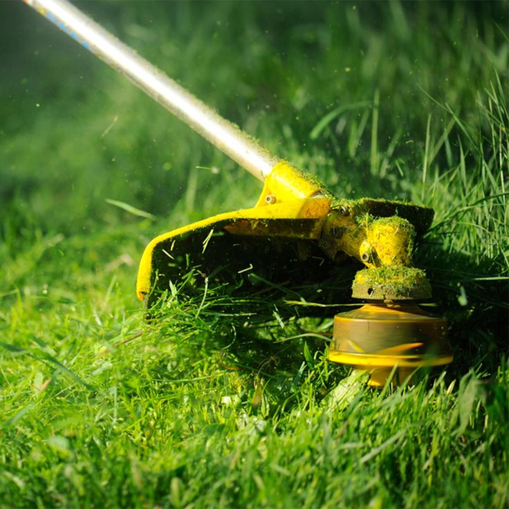 Electric Grass Trimmer